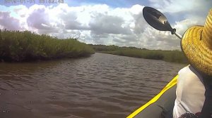 Tomoka River Kayak Mini Adventure