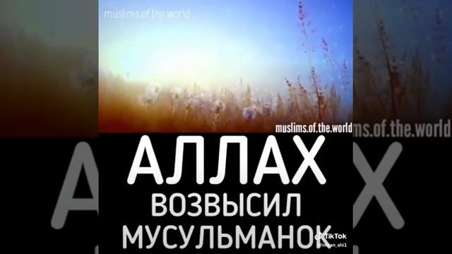 Вот почему мусульманки носят хиджаб