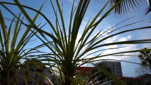 Глазами Моряка.Город Поти,Грузия