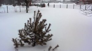 Снегопад в марте 2013-го. Курская область, сл.Михайловка