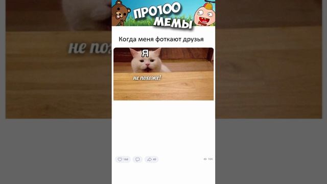 Мемы и приколы с озвучкой #мемы #коты #приколы #shorts #угар #мемыпро100 #коты