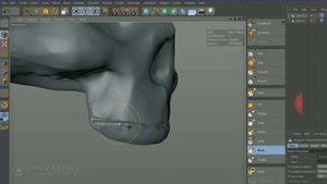 Череп скелета с помощью программы cinema 4D часть 2-ая.