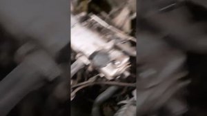 плохой запуск на холодную,лада калина приора,гранта