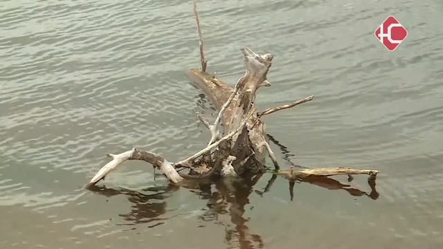 Скоро начнет спадать? смотреть онлайн