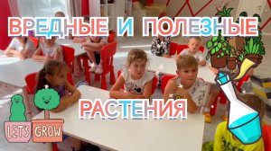 Ядовитые и лекарственные растения