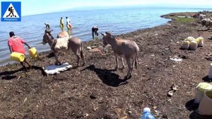 Дикость! Водоснабжение НА ОСЛАХ