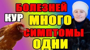 Болезней кур МНОГО - симптомы ОДНИ. Что делать, как помочь курам.