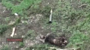 ???? Кадры разгрома  штурмового отряда ВСУ
