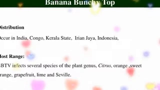 #Viral #diseases #of #plants. #viral infection in plants