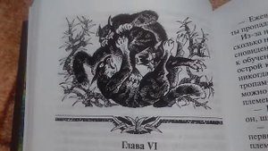 Обзор на книгу Коты Воители Закат.