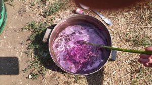 Куры перестали нестись что делать?смотрите!