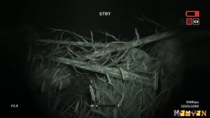 Outlast 2 - полное прохождение  (без комментариев).