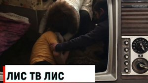 ДЕНЬ БОМЖА ТВ ПРИСТУП У ДЕДА