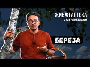 БЕРЕЗА Лечебные св-ва листьев березы / Оздоравливающая паста / Живя аптека 2