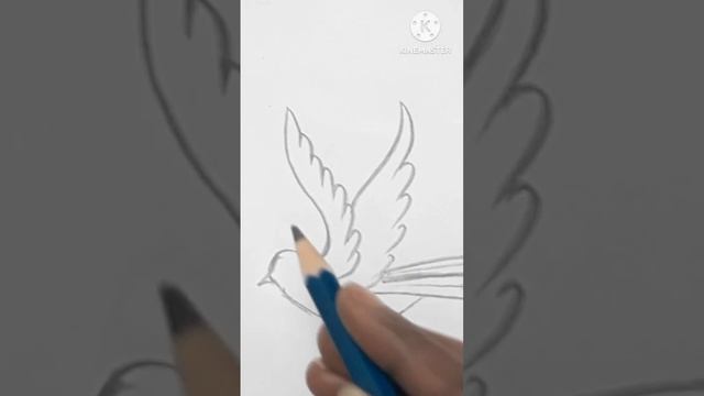 How to draw a bird || birds drawing easy #drawing #tattoo #youtubeshorts #viral #artist #artvideos