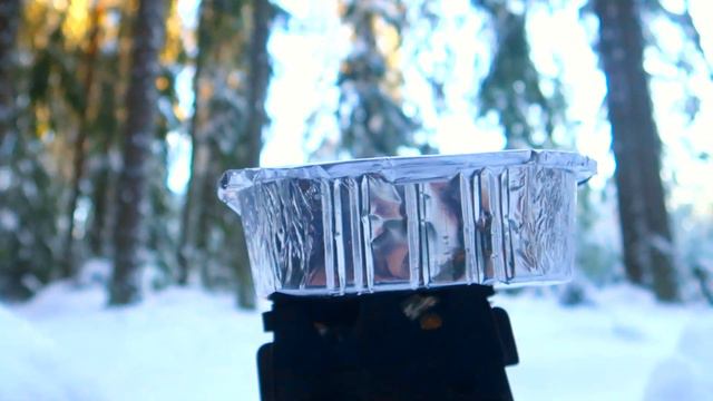 Одноразовая коптильня,испытание в лесу,поход в лес зимой. смотреть онлайн