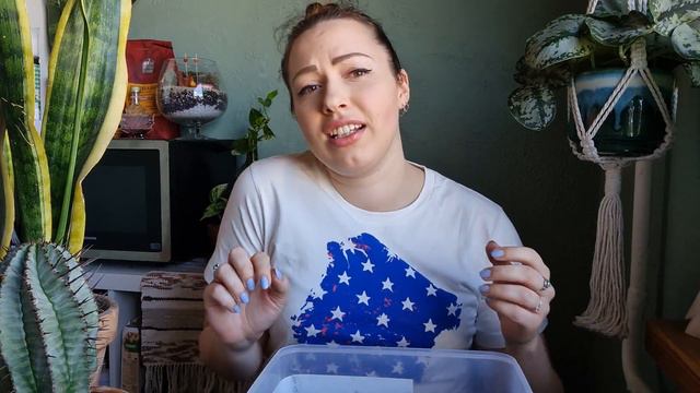 Rotting Snake plant rescue mission + awesome fan mail unboxing смотреть онлайн