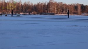 Выкинул живца. На мороженную мойву наловили 9 кг хищника! Как ловить щуку налима судака на мойву?