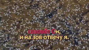В час, когда труба Господня.  Караоке
