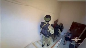 Ирина Волк: Сотрудниками полиции пресечена деятельность преступного сообщества