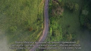 Как и чем промыть глаза котенку или взрослой кошке