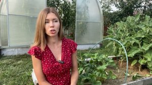 Важный уход за КЛУБНИКОЙ в августе. От этого зависит ваш урожай в следующем году