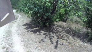 Yamaha YZF WR WRF 450 450F Первый выезд ,Тест драйв