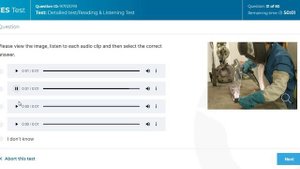 CES test 6.0.13 deck management engine operational. Я могу вам помочь  +380674872766 Телеграм\Вайбер