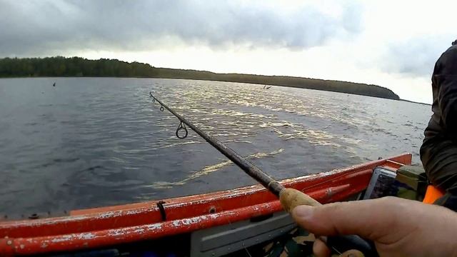 Сегозеро, щука, окунь, хариус, Карелия, рыбалка. смотреть онлайн