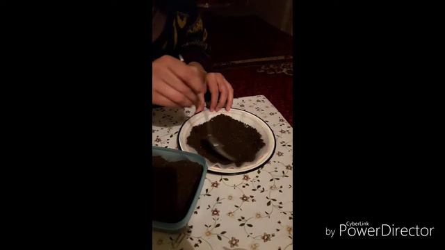 Проращиваем пшеницу к пасхе