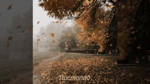 Листопад (песня с текстом в стиле группы Антиреспект)