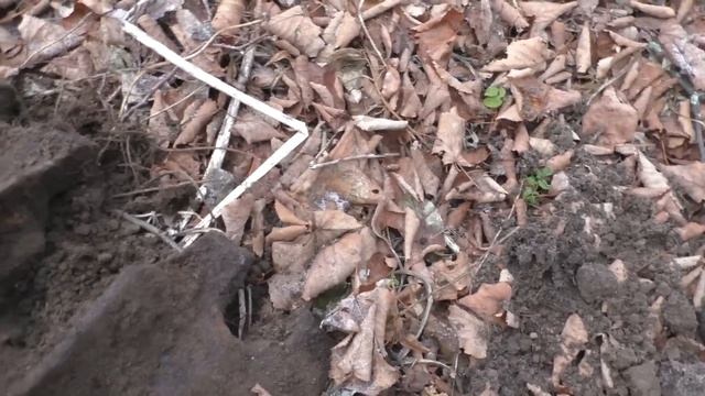 Видит око, да не по зубам железо! смотреть онлайн