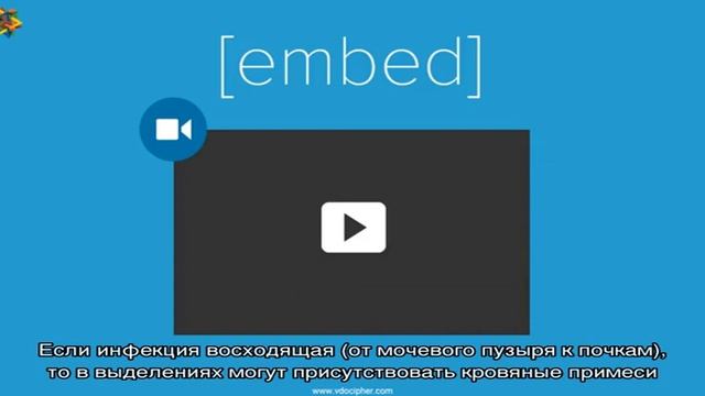 Выделения из мочеиспускательного канала – смотреть онлайн видео от Желе ...