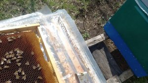 Весенние работы на пасеке 2024