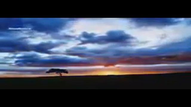 История про сподвижника Джулейбиба смотреть онлайн