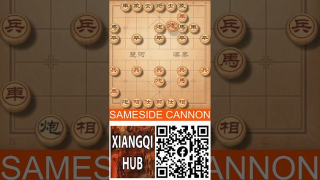 SameSide Cannon - Hub 1 - Shelf 2 - Book 1 - Match 1311113