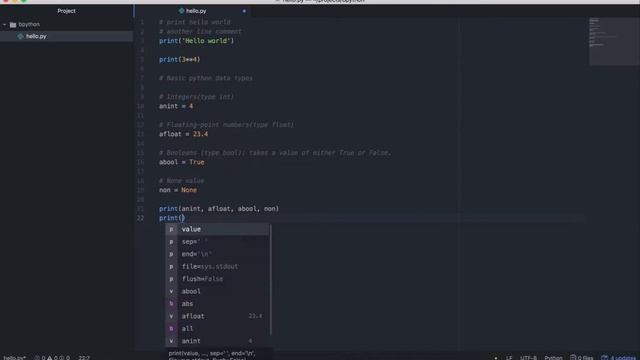 Python basic data types