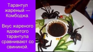 Шокирующие и экзотические кулинарные блюда