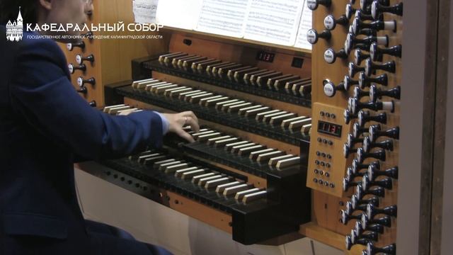 Еженедельный проект «Орган дома» - Прямая трансляция из Кафедрального собора