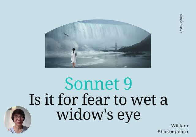 Sonnet 9 Shakespeare на беларускай мове смотреть онлайн