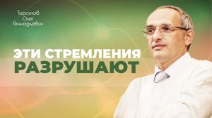 Как желания разрушают нашу жизнь (Торсунов О. Г.)