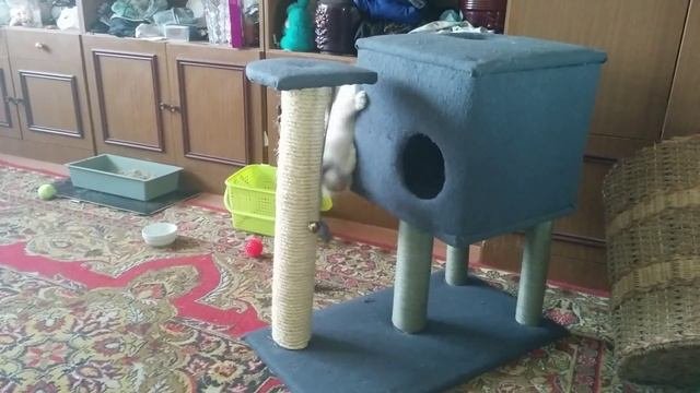 Домик для кошек своими руками