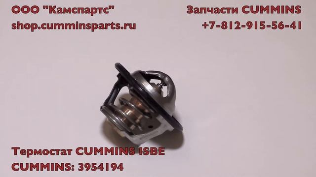 Термостат ISBE 3954194 смотреть онлайн