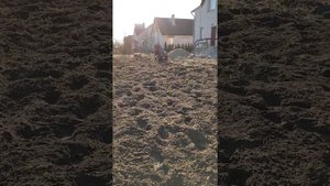 мотоблок мтз лидская фреза фнм 1