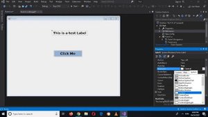C# Label Control | Label in C# | How to use Label in c# visual studio | Dynamic Label in c#