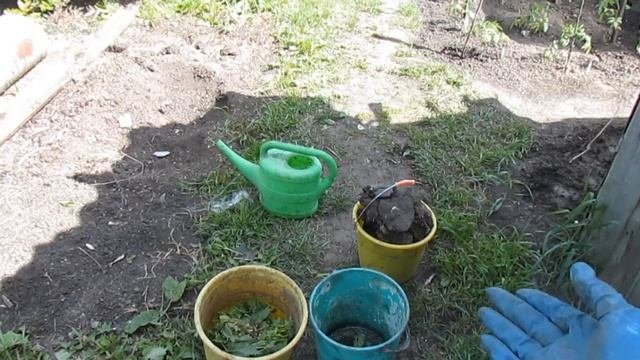 Две простые органические азотные подкормки для цветов и овощей!