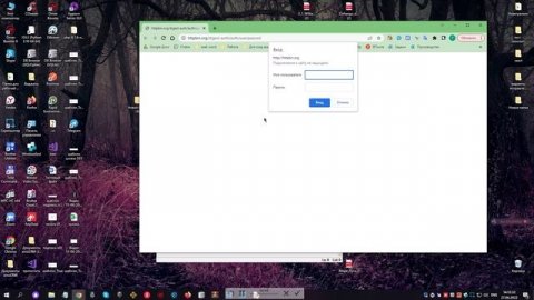 Python requests (Часть №12)