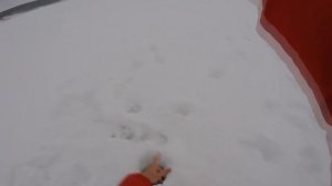 Ловля Берша зимой на Волге