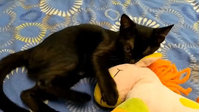 МАРУСЯ И ИГРУШКИ, ДИМА ЛЕПИТ КУЛИЧИКИ, ПЕРВЫЙ МАНИКЮР ДЛЯ КАТЮШИ, КОНСТРУКТОР ДИМЫ, ВТОРАЯ ПРИВИВКА смотреть онлайн