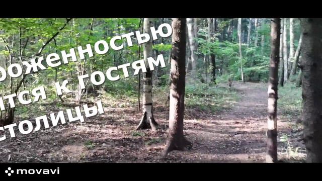 Отличная собака Белла (Белка) ищет хозяина. Находится Москва, Московская область смотреть онлайн